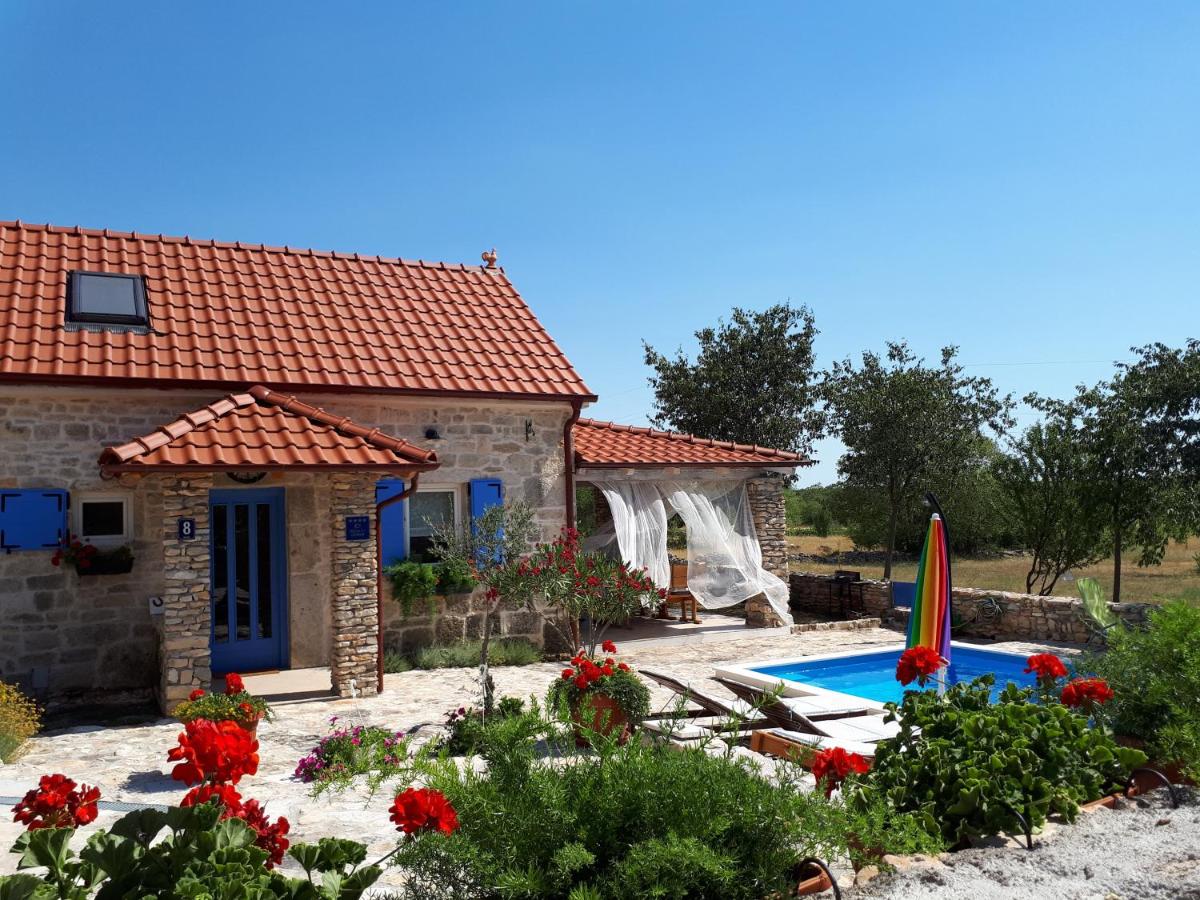 holiday house toma procelje